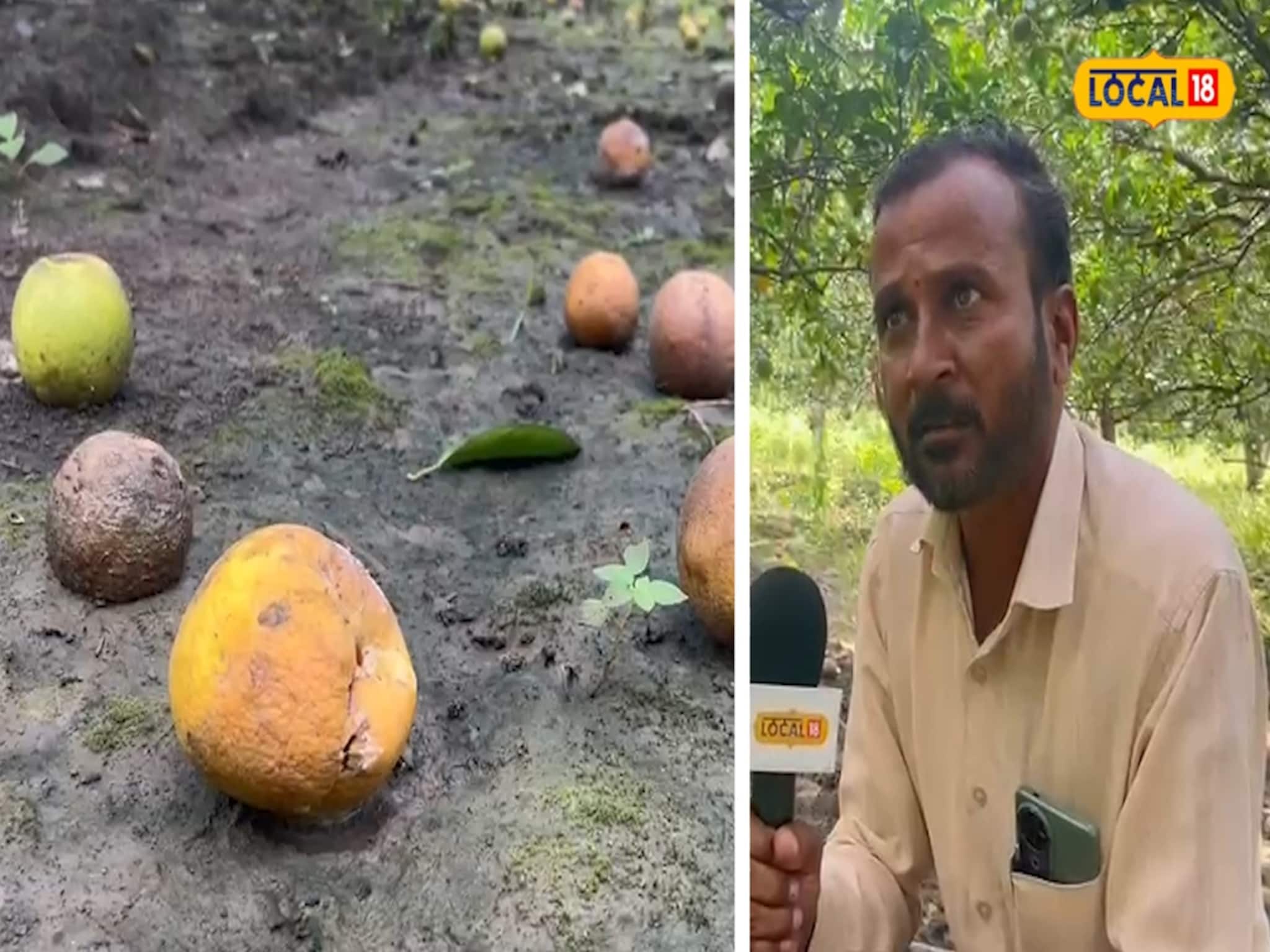 होतं नव्हतं सगळं गेलं, आता बहिणीचं लग्न कसं करू? शेतकरी भावाच्या डोळ्यात आलं पाणी!
