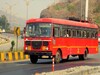 वर्षभर ST प्रवास फ्री, एसटी महामंडळाची खास भेट; फक्त करा 'हे' एकच काम