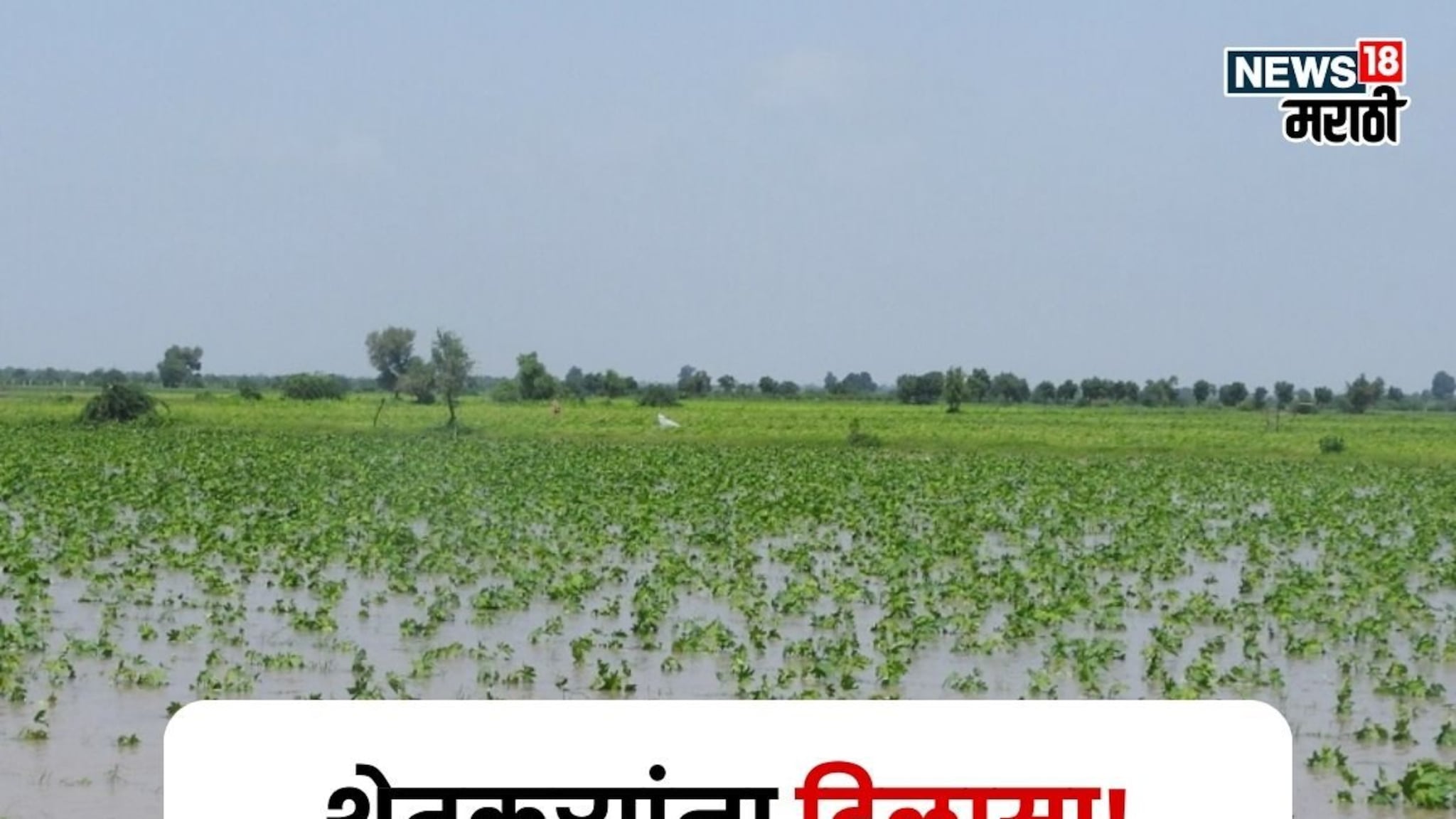 अतिवृष्टीचे अनुदान हवंय पण Farmer ID नाही! या नंबरवर केवायसी करताच मिळणार पैसे