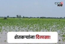 अतिवृष्टीचे अनुदान हवंय पण Farmer ID नाही, मग या नंबरवर केवायसी करताच मिळणार पैसे
