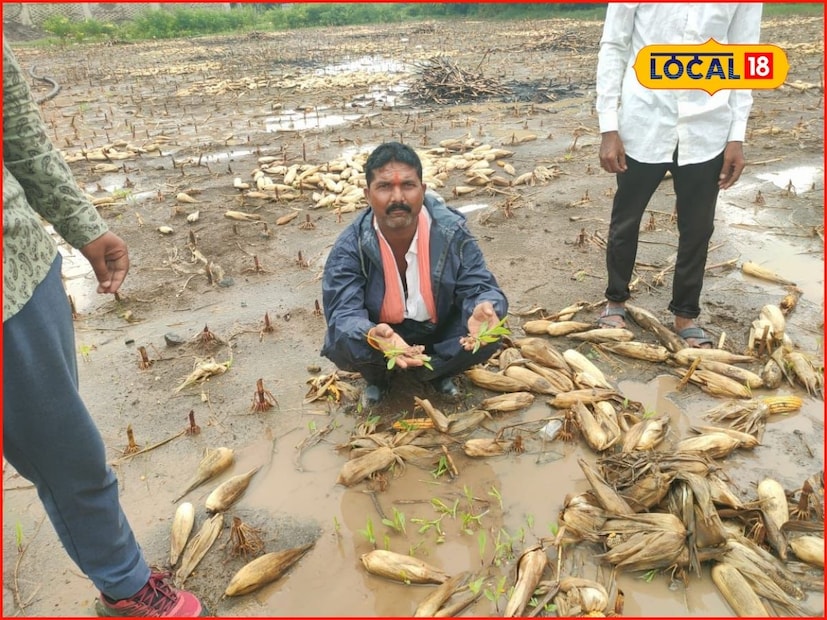 राज्यात पावसाला पोषक वातावरण निर्माण झाले असून अनेक भागांमध्ये जोरदार वाऱ्यासह मुसळधार पावसाने हजेरी लावली. पुढील 24 तासांत अनेक भागांमध्ये मुसळधार अवकाळी पावसाचा अंदाज हवामान विभागाने वर्तविला आहे. राज्यातून मान्सून गेला असला तरीही पुढील काही दिवस राज्यात पावसाचे ढग कायमच राहणार आहेत. 31 ऑक्टोबरपर्यंत पाऊस असणार आहे, असे हवामान अंदाजानुसार वर्तविण्यात येत आहे.