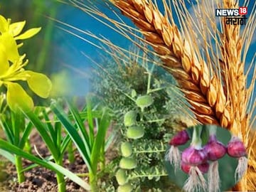 agriculture news 
