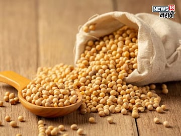 Agriculture News 