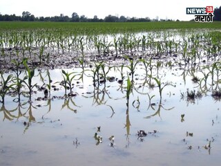 agriculture news 