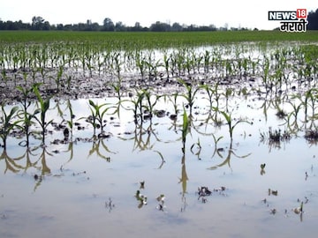 agriculture news 