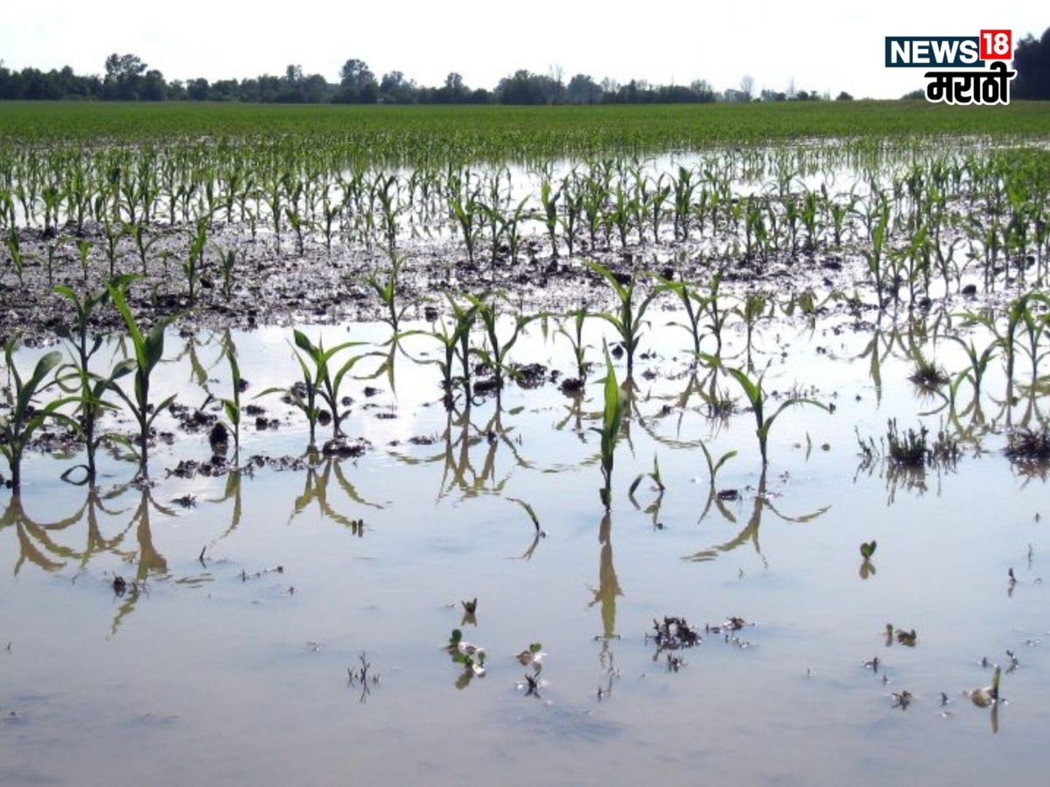 दिलासादायक! अतिवृष्टीभागातील सुधारित पंचनामे पूर्ण, या ६ जिल्ह्यांना मिळणार अतिरिक्त मदत
