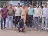 दिवाळी आधी धाडसी चोरी, असं काही गायब केलं ज्याची पोलिसांनी कल्पनाही केली नाही