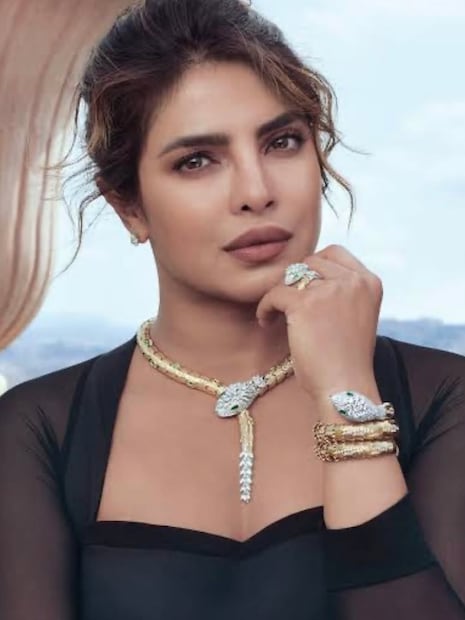  प्रियंकाने फोटो शेअर करत कॅप्शनमध्ये लिहिलं आहे,"इथे एक थीम आहे... जी खूप हलकीशी आहे".