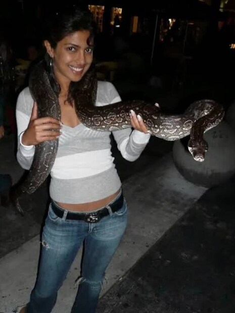  एसएएस राजामौली यांच्या 'SSMB29' या चित्रपटात प्रियंका चोप्रा महेश बाबूसोबत झळकणार आहे. महेश बाबू आणि प्रियंका पहिल्यांदाच स्क्रीन शेअर करताना दिसतील.