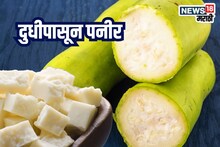 Kitchen Jugaad : दूध नाही दुधीपासून बनवा पनीर, कसं, पाहा Recipe Video