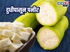 Kitchen Jugaad : दूध नाही दुधीपासून बनवा पनीर, कसं, पाहा Recipe Video