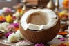 Puja Coconut : पूजेचा नारळ खराब झाला तर काय होतं? हे कसले संकेत?