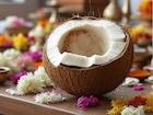 Puja Coconut : पूजेचा नारळ खराब झाला तर काय होतं? हे कसले संकेत?
