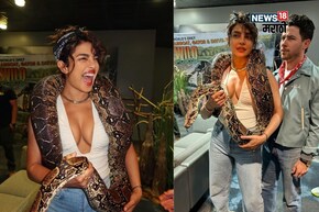 Priyanka Chopra : प्रियंका चोप्राचं सर्पप्रेम, निक जोनस कोमात PHOTOS