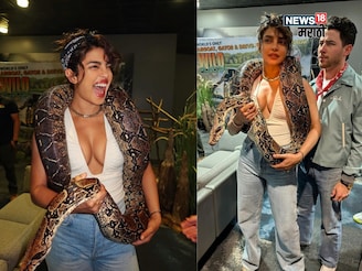 Priyanka Chopra : प्रियंका चोप्राचं सर्पप्रेम, निक जोनस कोमात PHOTOS