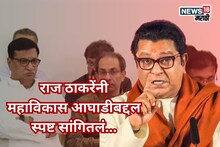 मविआच्या व्यासपीठावर कसे? राज ठाकरेंनी आघाडीबद्दल एका वाक्यात विषय संपवला