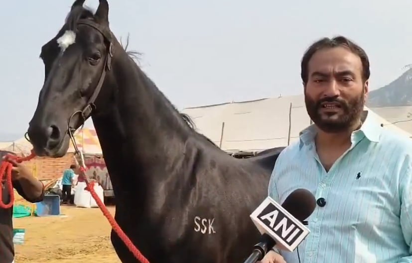 आतापर्यंत याला घेऊन जाण्यासाठी 9 कोटी रुपयांची बोली लागली आहे. पण त्याला मालक काही त्याला सोडायला तयार नाही. शाहबाज हा चौथ्या पिढीतला असल्याचं त्याच्या मालकाने सांगितलं. त्याच्या म्हणण्यांनुसार 15 कोटी रुपये फायनल रक्कम आहे. ते कुणी देत असेल तर शाहबाजला देण्याचा विचार करु असा दावा त्यांना केला आहे. - फोटो सौजन्य - ANI 