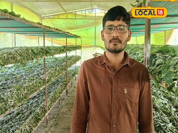30 हजार रुपये पगाराची नोकरी सोडली, रेशीम शेतीने नशीब पालटलं, 7 लाखांची कमाई