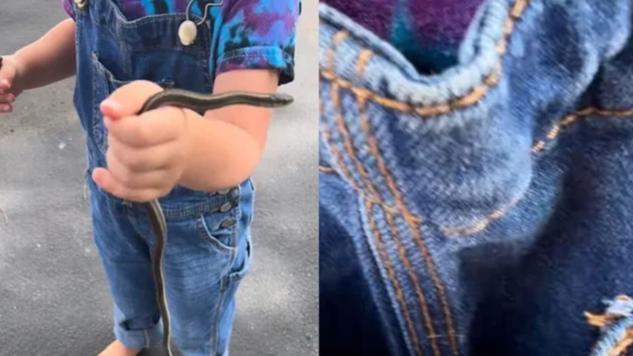 घराबाहेर खेळत होती मुलगी, तिला पाहताच घाबरली आई; हातात साप आणि खिशात तर...