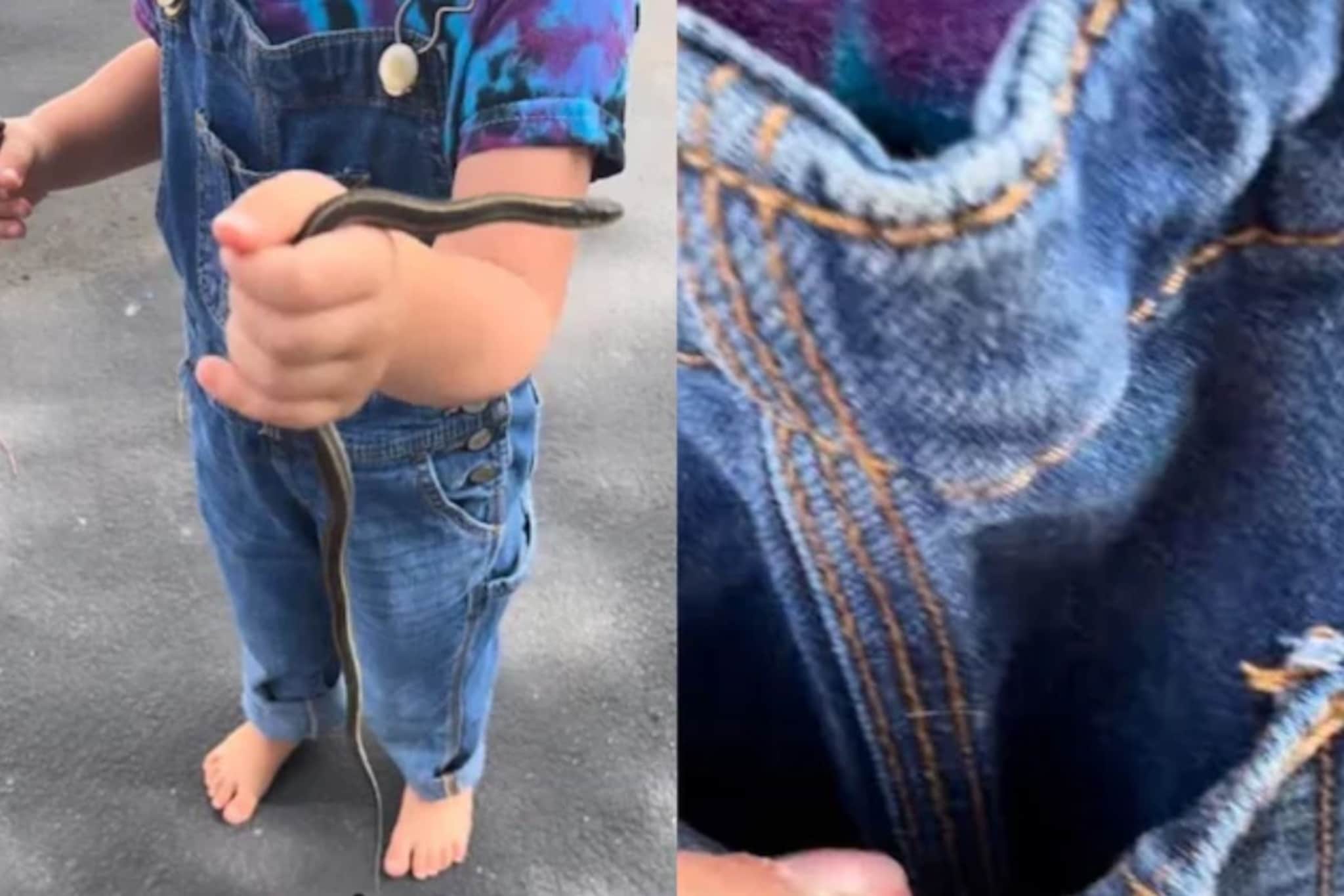 घराबाहेर खेळत होती मुलगी, तिला पाहताच घाबरली आई; हातात साप आणि खिशात तर...