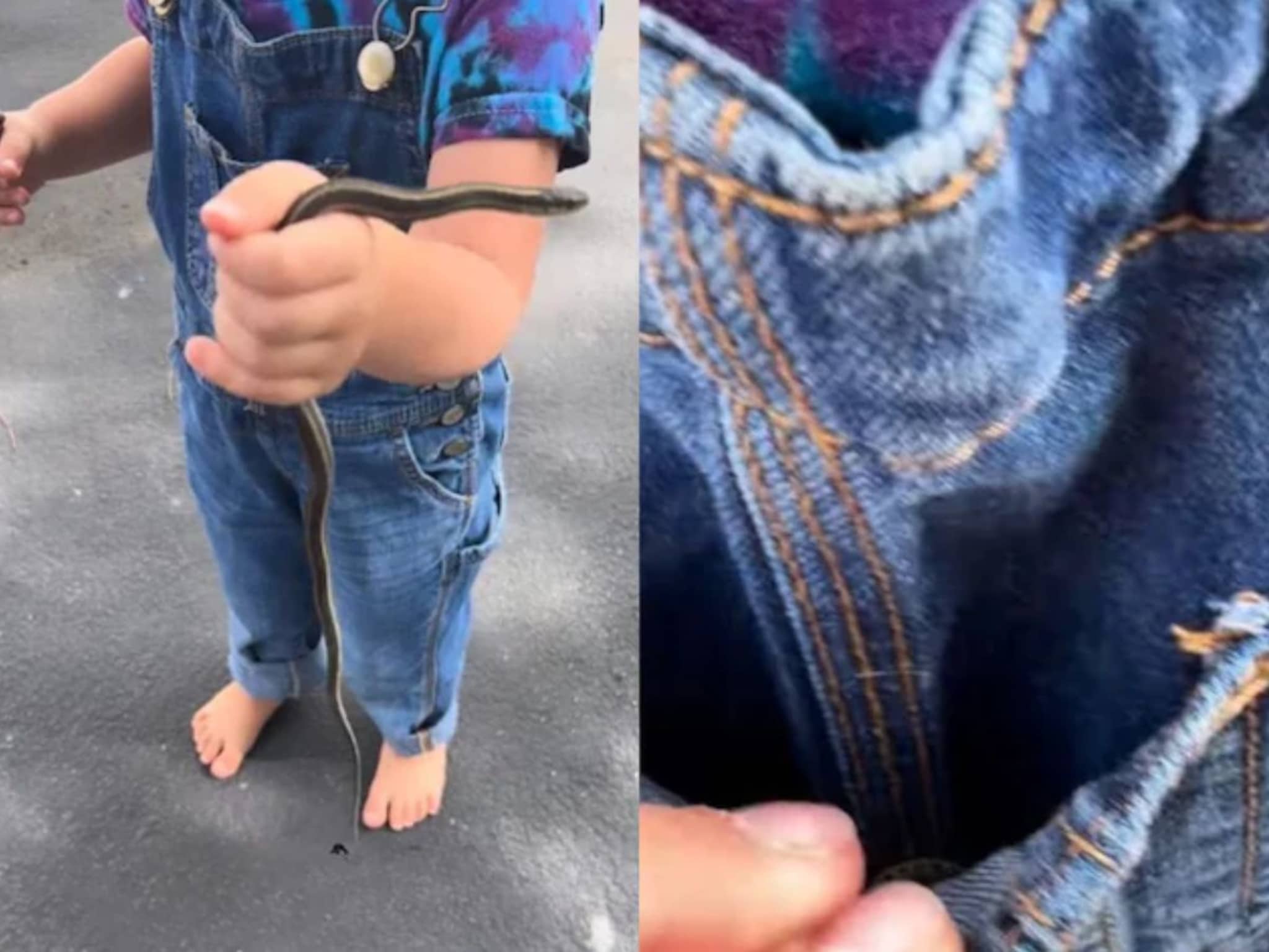 घराबाहेर खेळत होती मुलगी, तिला पाहताच घाबरली आई; हातात साप आणि खिशात तर...