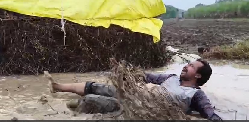 दिवाळी उलटूनही पाऊस थांबत नसल्याने शेतीत मोठ्या समस्या निर्माण झाल्या आहेत. खरीप हंगाम पूर्णपणे उद्ध्वस्त झाल्यानंतर शेतकऱ्यांचे लक्ष आता रब्बी हंगामातील पेरण्यांवर लागले होते. मात्र, शेतात पाणी साचून राहिल्यामुळे रब्बी हंगामातील पेरण्या आता लांबणीवर पडण्याची शक्यता निर्माण झाली आहे.