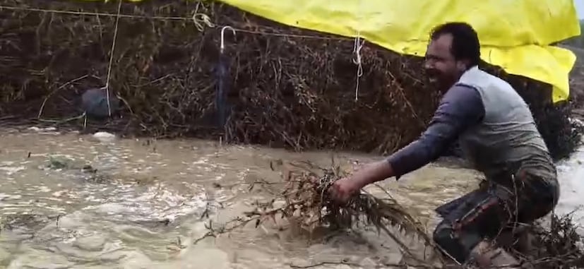 एकीकडे नैसर्गिक संकटे आणि दुसरीकडे शासकीय मदतीची दिरंगाई यामुळे शेतकरी पुरता हतबल झाला आहे. लातूर शहरासह जिल्ह्यातील निलंगा, देवणी, शिरूर अनंतपाळ आणि औसा तालुक्यातही पावसाने जोरदार हजेरी लावली आहे. 