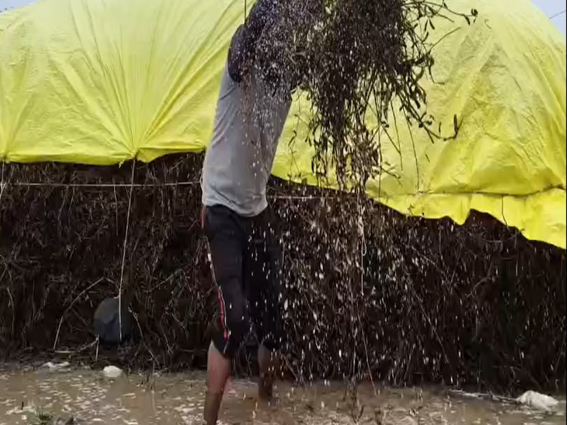 या गंभीर परिस्थितीमुळे जिल्हा प्रशासनाने तातडीने नुकसानीचे पंचनामे करावेत आणि गरसोळीसारख्या गंभीर घटनांमध्ये तातडीने भरीव मदत जाहीर करावी, अशी मागणी शेतकरी वर्गातून जोर धरू लागली आहे.