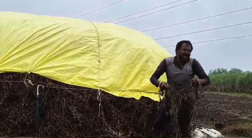 अनेक शेतकऱ्यांचे ढीग वाहून गेले, तर उर्वरित ढीग पाण्याखाली गेले आहेत, ज्यामुळे शेतकऱ्यांचे मोठे आर्थिक नुकसान झाले आहे. जिल्ह्यातील रेणापूर तालुक्यात तर अक्षरशः ढगफुटीसदृश्य पाऊस झाला. या अतिवृष्टीचा सर्वात मोठा फटका गरसोळी येथील शेतकरी सुरेश चव्हाण यांना बसला. 