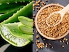 Hair Care : केसांच्या सौंदर्यासाठी नैसर्गिक उपाय, या कॉम्बोनं केस होतील घनदाट