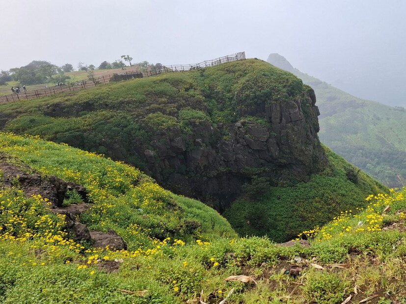 अस्वीकरण : या बातमीत दिलेली माहिती आणि आरोग्याशी संबंधित सल्ला तज्ञांशी झालेल्या संभाषणांवर आधारित आहे. ही सामान्य माहिती आहे, वैयक्तिक सल्ला नाही. म्हणून, डॉक्टरांचा सल्ला घेतल्यानंतरच काहीही वापरा. त्याच्या वापरामुळे होणाऱ्या कोणत्याही नुकसानासाठी लोकल-18 जबाबदार राहणार नाही. 