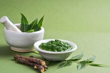 Skin Care : चेहऱ्यावरच्या मुरुमांवर रामबाण उपाय, कडुनिंबाची पानं आणतील चेहऱ्यावर चमक