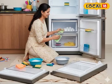 रेफ्रिजरेटर साफसफाईच्या टिप्स