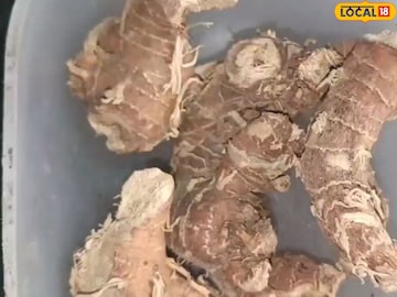 आरोग्यासाठी कुलांजन फायदे
