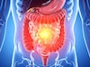 Intestines : पचनव्यवस्था चांगली राखण्यासाठी या टिप्स ठरतील उपयुक्त, नक्की वाचा