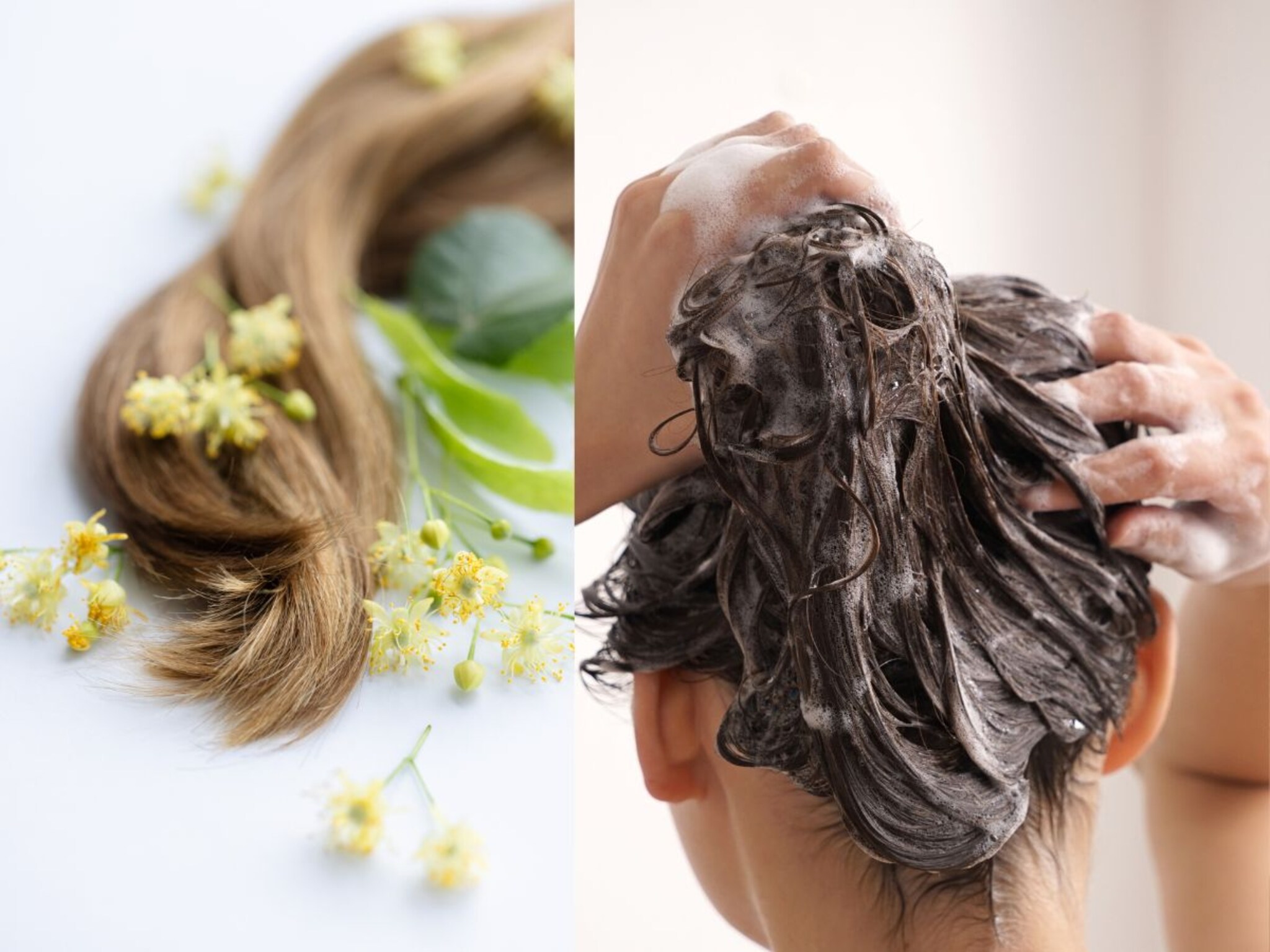 Hair Conditioner : महाग कंडिशनरला चांगला पर्याय, घरी बनवा नैसर्गिक हेअर कंडिशनर