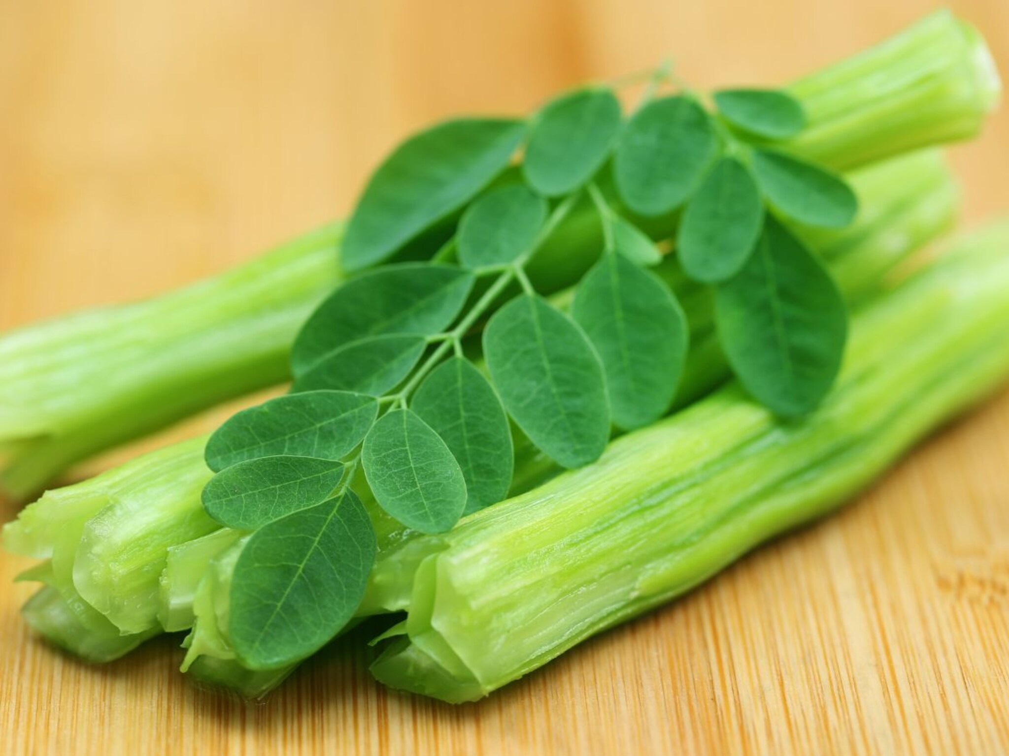 Drumsticks : पौष्टिक घटकांचं पॉवरहाऊस - शेवग्याच्या शेंगा, जाणून घ्या आरोग्यदायी फायदे