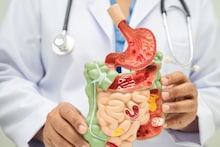 Digestion : आहार योग्य असेल तर आतडी राहतील चांगली, आतड्यांच्या स्वच्छतेसाठी या टिप्स महत्त्वाच्या