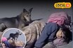 दोस्त असावा तर असा! मध्यरात्री मुलीकडे तो आला, पण कुत्र्याने शिकवला धडा