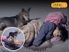 दोस्त असावा तर असा! मध्यरात्री मुलीकडे तो आला, पण कुत्र्याने शिकवला धडा