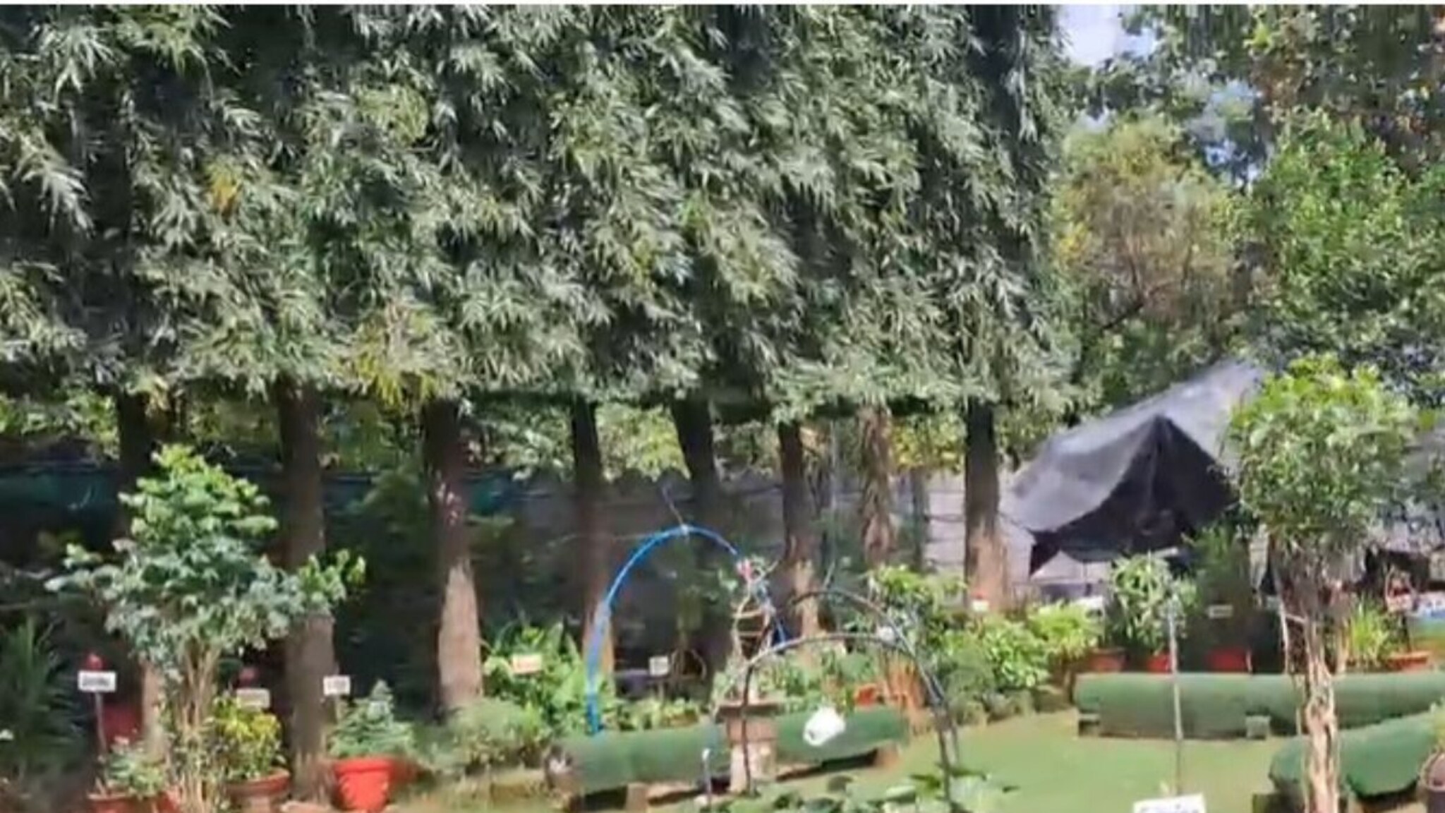 मुंबईजवळ सुट्टी घालवण्याचं रम्य ठिकाण, मराठी माणसाने अडीच एकरात उभारलं खास हाऊस