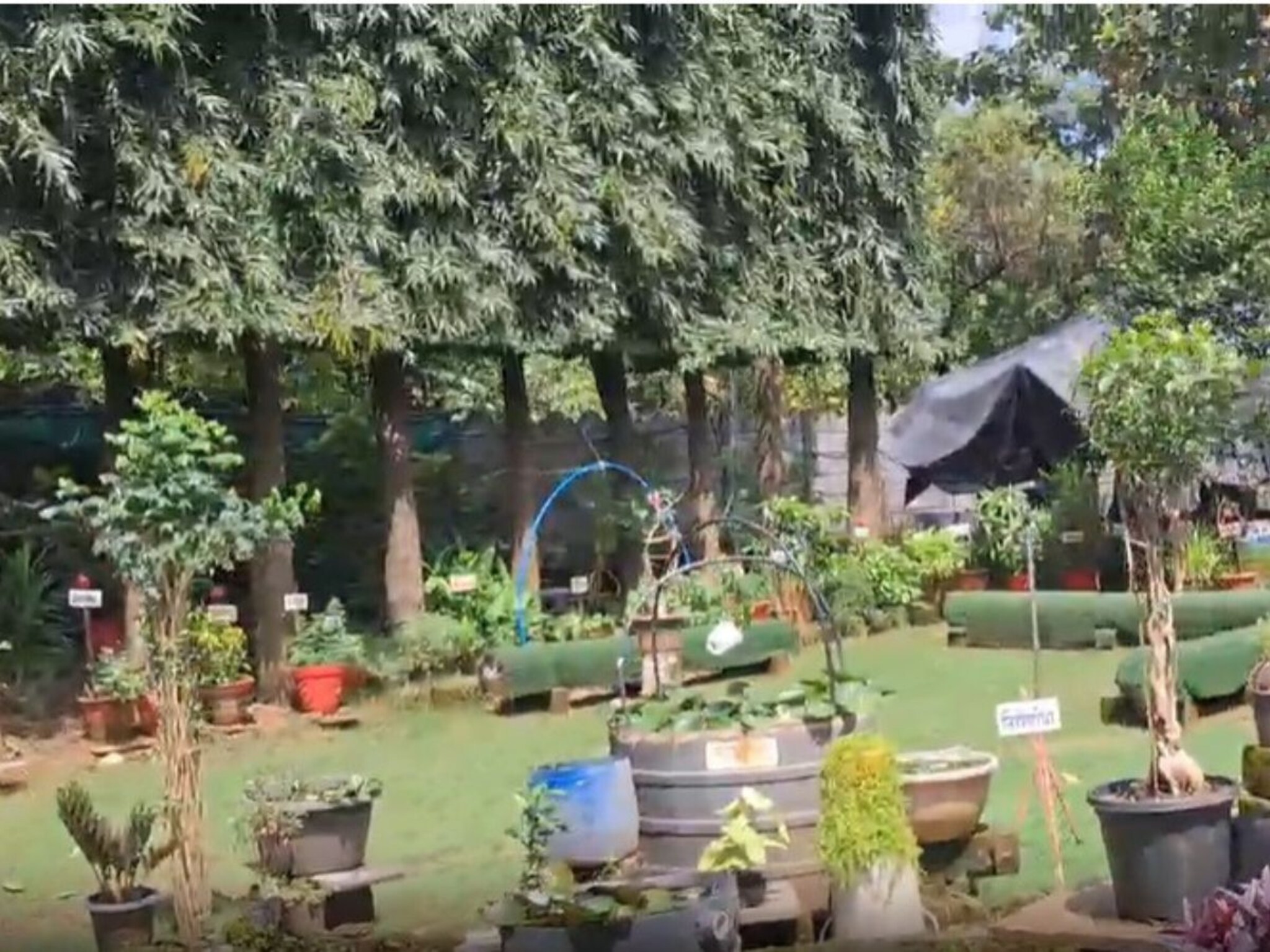 मुंबईजवळ सुट्टी घालवण्याचं रम्य ठिकाण, मराठी माणसाने अडीच एकरात उभारलं खास हाऊस