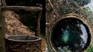 प्रतीकात्मक फोटो