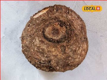 अशक्तपणा होईल दूर,सुरण कंद शरिरासाठी गुणकारी,हे फायदे वाचून तुम्हीही व्हाल चकीत अशक्तपणा होईल दूर,सुरण कंद शरिरासाठी गुणकारी,हे फायदे वाचून तुम्हीही व्हाल चकीत