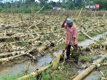 Agriculture News Agriculture News