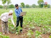 Farmer ID नाहीये का? मग हे काम करावेच लागणार,अन्यथा आर्थिक मदत मिळणार नाही