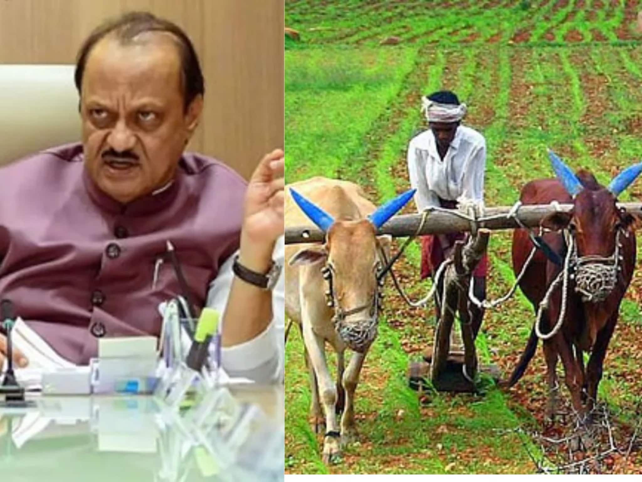 Ajit Pawar Farmer Loan: कर्जमाफी सरसकट मिळणार नाही, अजित पवारांनी आज स्पष्टच सांगितलं