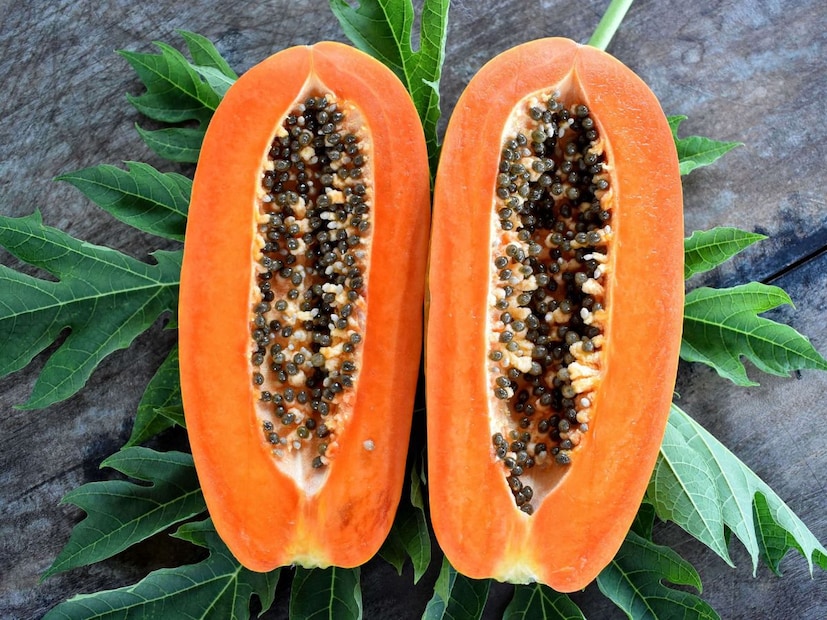 त्वचेच्या ऍलर्जी असलेल्यांनी खबरदारी घ्यावीकाही लोकांना पपई खाल्ल्यानंतर खाज, लालसरपणा, पुरळ किंवा सूज यासारख्या त्वचाविकारांचा अनुभव येतो. हे पपेन नावाच्या एन्झाइममुळे होते. त्यामुळे अशा लक्षणं दिसल्यास पपई खाणं थांबवावं आणि डॉक्टरांचा सल्ला घ्यावा.