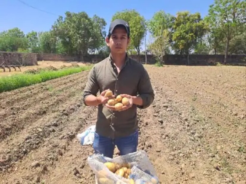 आता प्रियांक केवळ बटाटेच नाही, तर गहू, हिरव्या भाज्या आणि फळे देखील पूर्णपणे सेंद्रिय पद्धतीने पिकवत आहेत. यासोबतच, शहरी लोक आणि तरुणांना शेतीची प्रक्रिया जवळून समजावी आणि त्यांना निसर्गाशी जोडता यावे, यासाठी ते आपल्या गावात एक रिसॉर्ट विकसित करून 'ॲग्रो टुरिझम' लाही प्रोत्साहन देत आहेत.