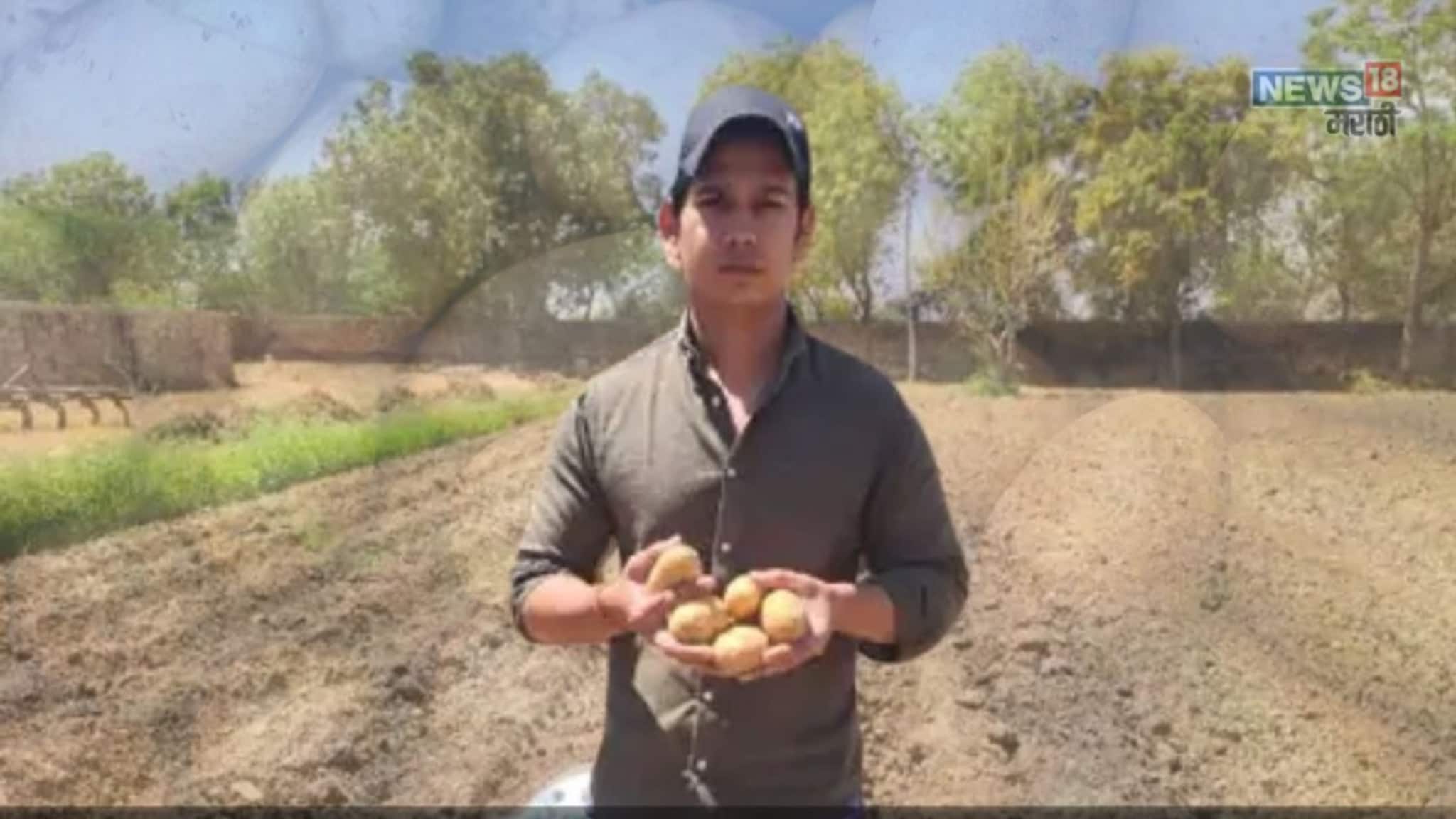 Success Story: मुंबईतील नोकरी सोडून केली शेती, युवा शेतकऱ्याचं पिवळं सोनं थेट अमेरिकेच्या कंपनीत